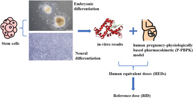 Our Research